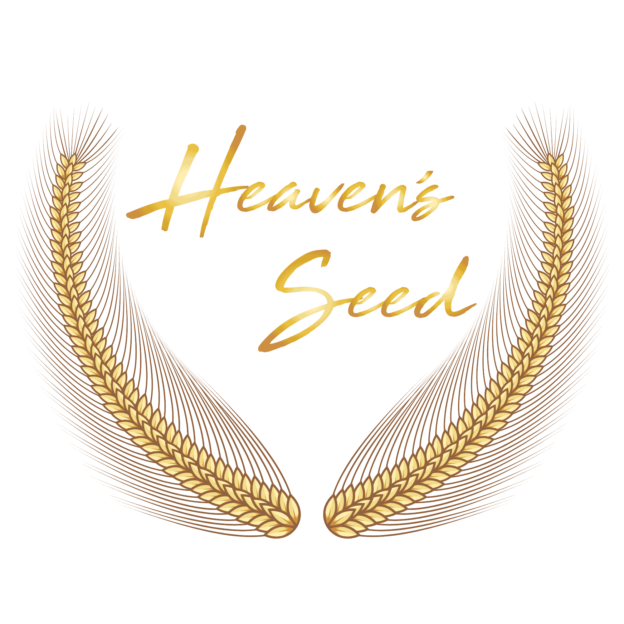 Heaven’s Seed International School